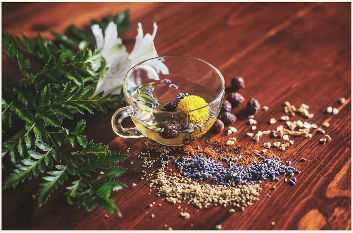 The Complete Guide to Seed Cycling for Hormone Balance & Regular Cycles